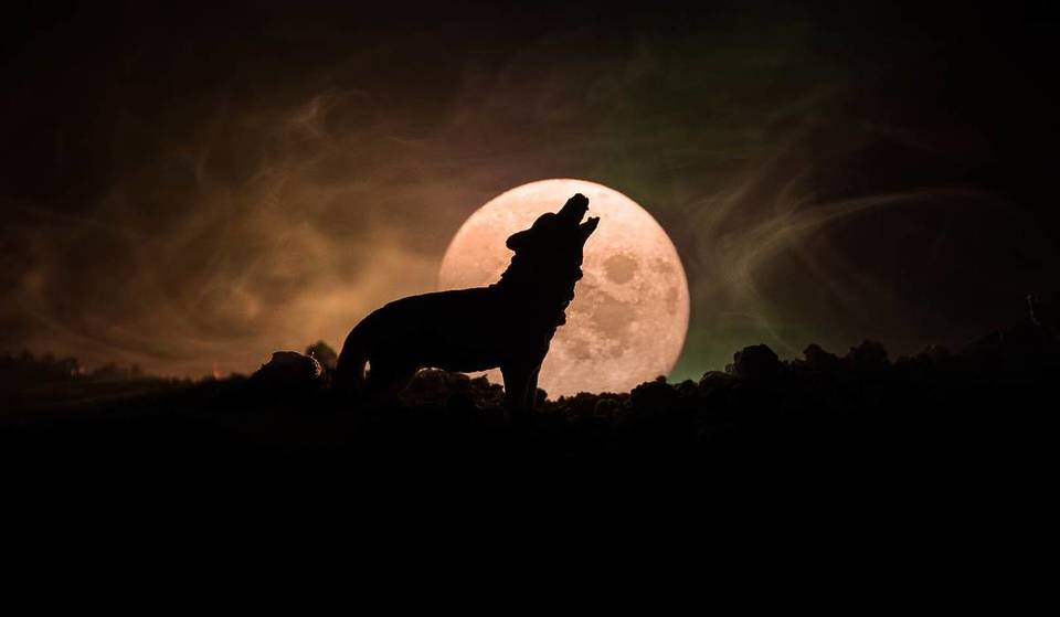Eerste volle maan &amp; supermaan 2026: Op 3 januari beleven we de Wolfmaan, vergezeld van een regen van vallende sterren – deze dierenriemtekens zullen het extra voelen!