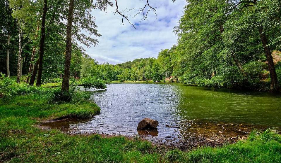 50 km from Berlin, you will find Brandenburg’s oldest spa town: the city of seven hills has been known for its healing mud springs for over 340 years.