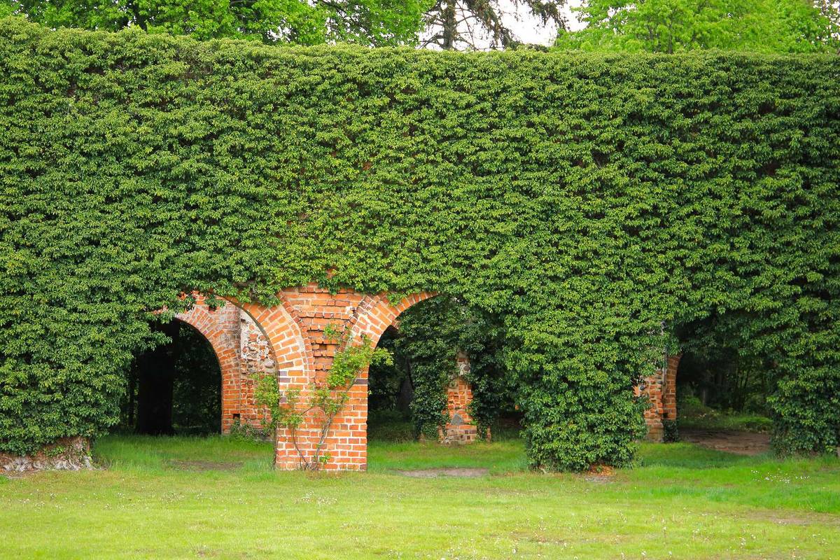 Himmelpfort