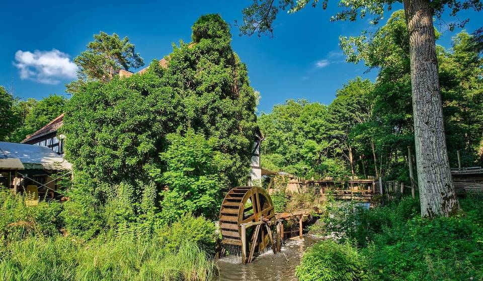 Just one hour from Berlin lies “Brandenburg’s wild south” with its 17 former mills and the most beautiful stream valley in the area.