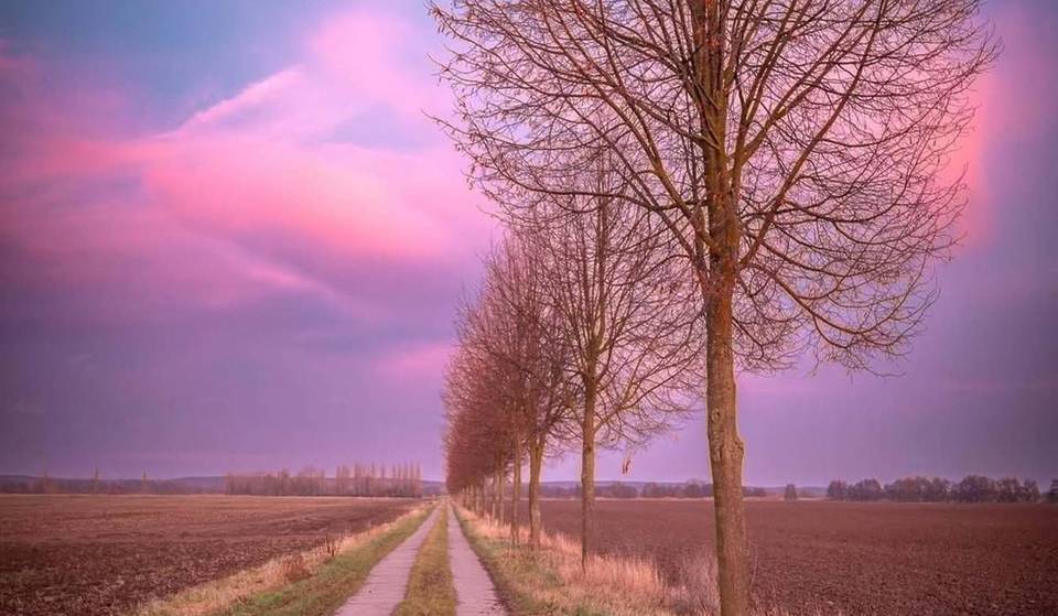 One hour from Berlin to Brandenburg’s most symmetrical village: the planned colonial village from the 18th century served as a Prussian experiment.