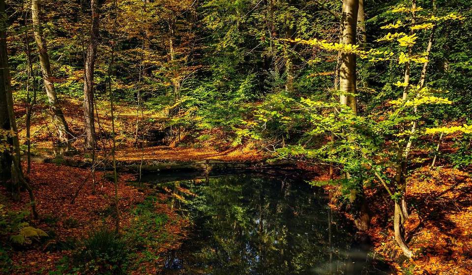 Op slechts 45 km van Berlijn liggen de ecologisch meest waardevolle waterlopen van Brandenburg: deze rivier, die ongeveer 15.000 jaar geleden is ontstaan, stroomt door een diep uitgesneden vallei – bijna als een klein middelgebergte.