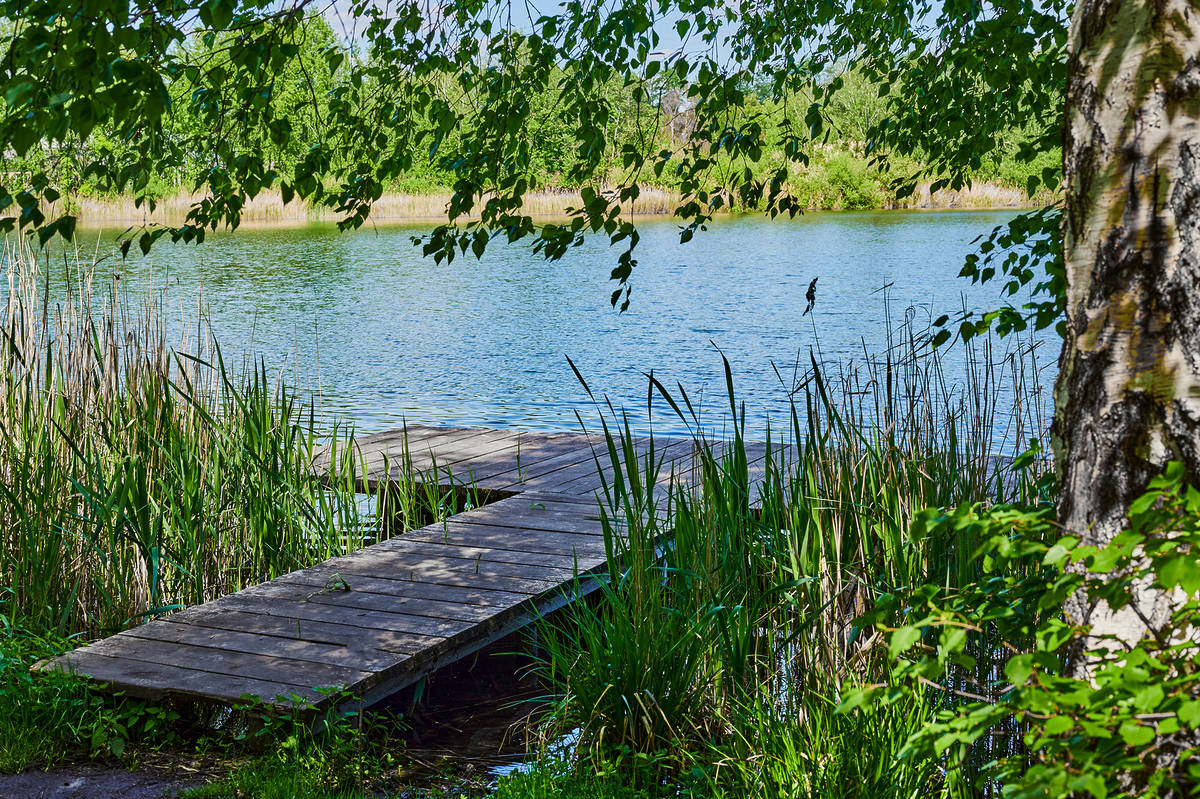 Steg führ an einen See