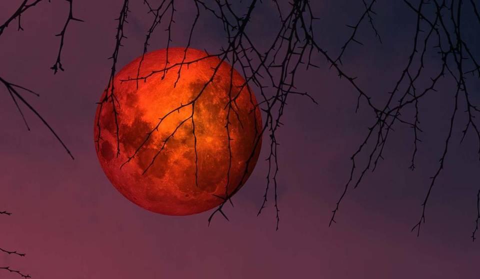 Nel marzo 2026, 6 miliardi di persone avranno la possibilità di vedere la luna tingersi di rosso sangue per 58 minuti: sarà l’unica eclissi lunare totale fino al 2028!