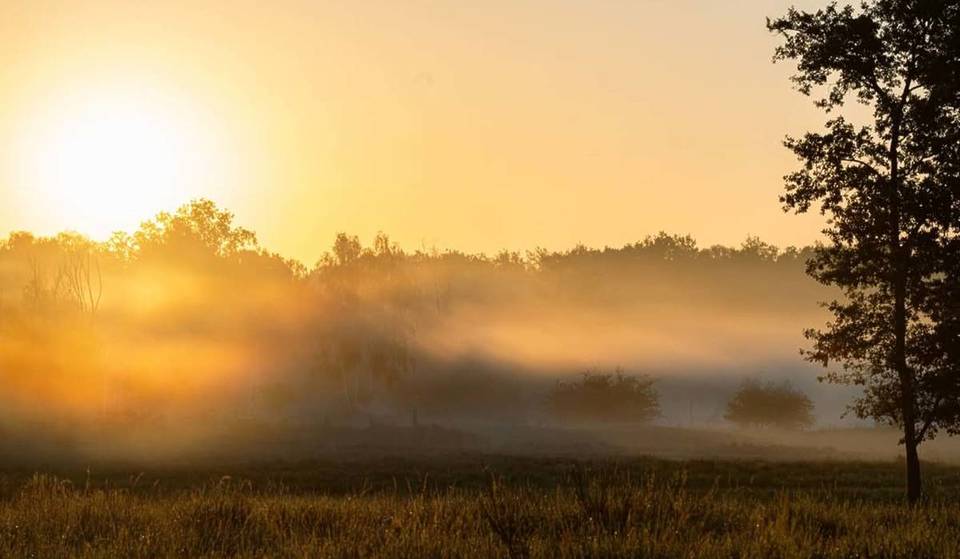 Nur 30 Minuten von Berlin zum wildesten Naturgebiet Brandenburgs: Über 100 Jahre einer der größten Truppenübungsplätze Deutschlands, heute Safari-Feeling mit europäischen Bisons, Wildpferden & Rothirschen