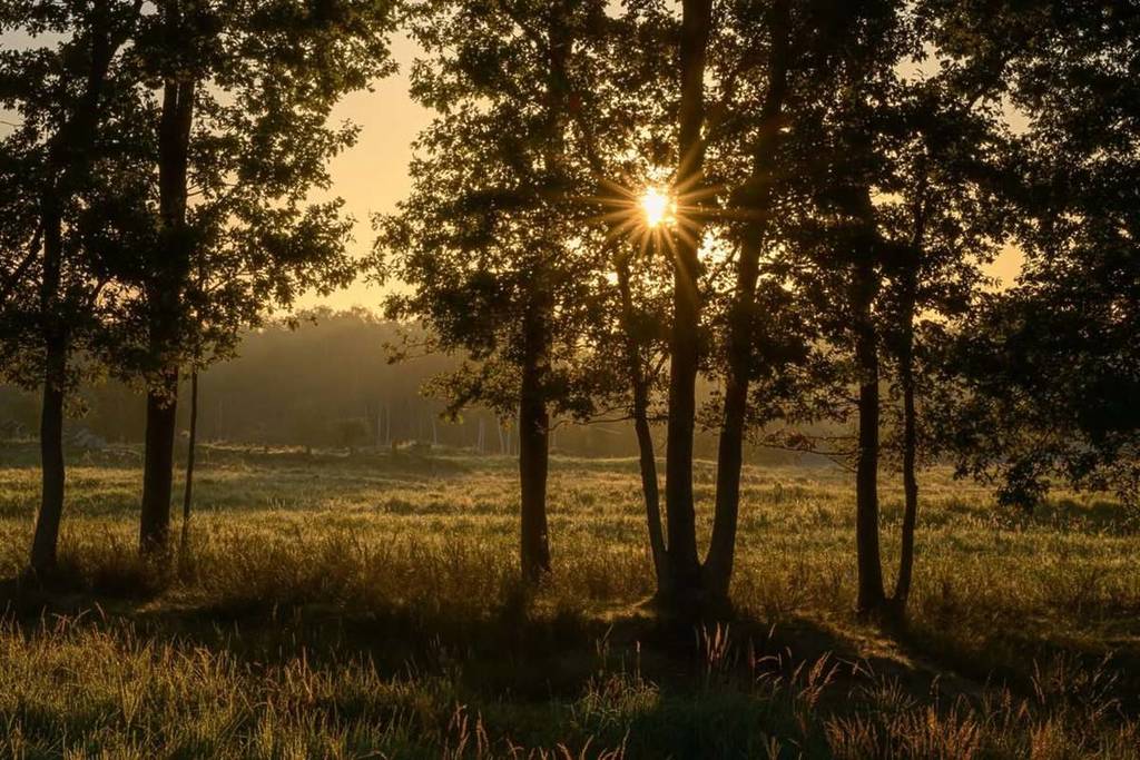 Döberitzer Heide