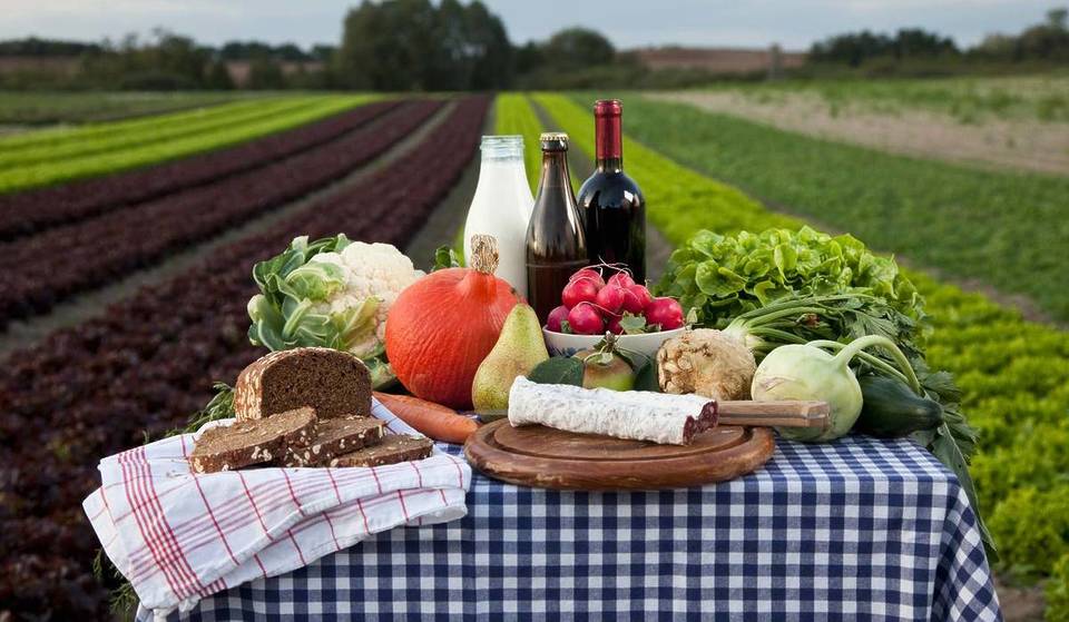 1 hour from Berlin to Brandenburg’s most famous eco-village: one of Germany’s largest Demeter farms with up to 2,400 hectares of agricultural land