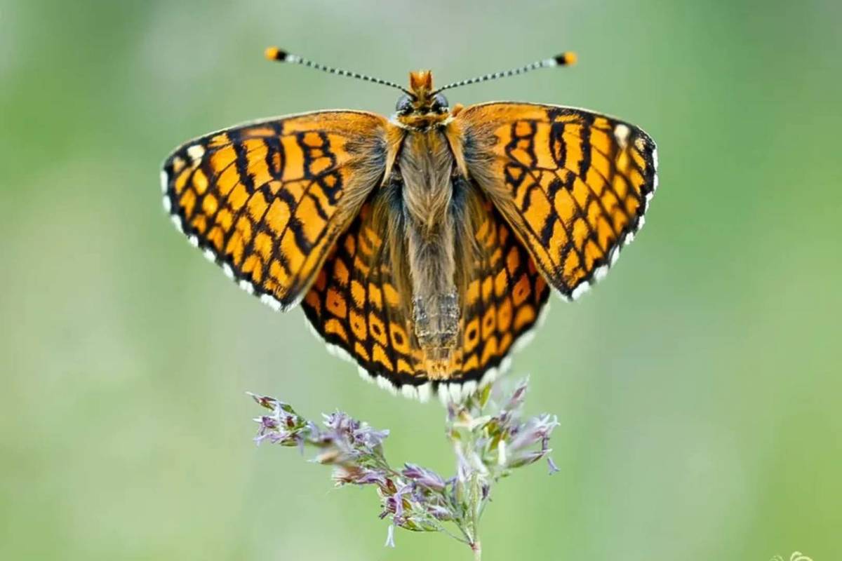 Naturpark Nuthe-Nieplitz