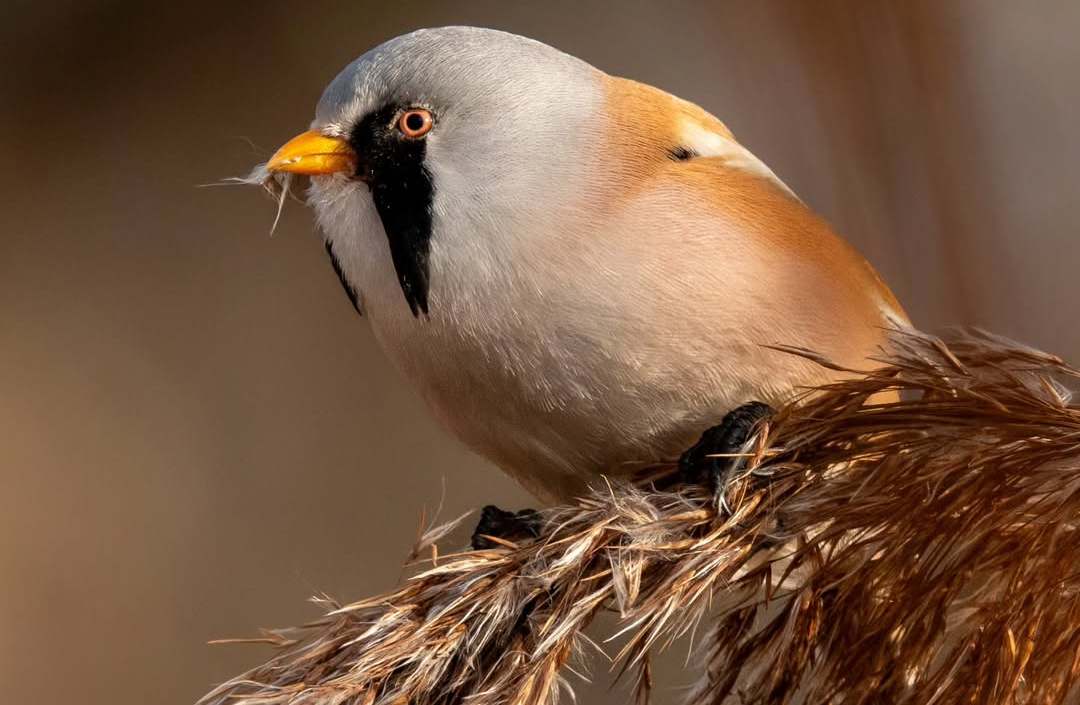 Naturpark Nuthe-Nieplitz