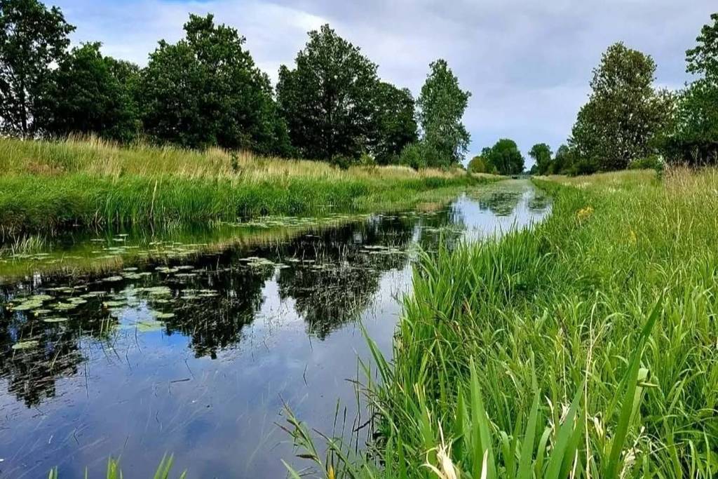 Naturpark Nuthe-Nieplitz