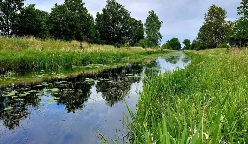 Nur 30 Minuten von Berlin zu den wichtigsten Moor- und Auenlandschaften Brandenburgs: Die 7-Seen-Wanderung führt über 13 km durch das artenreichste Vogelgebiet der Region