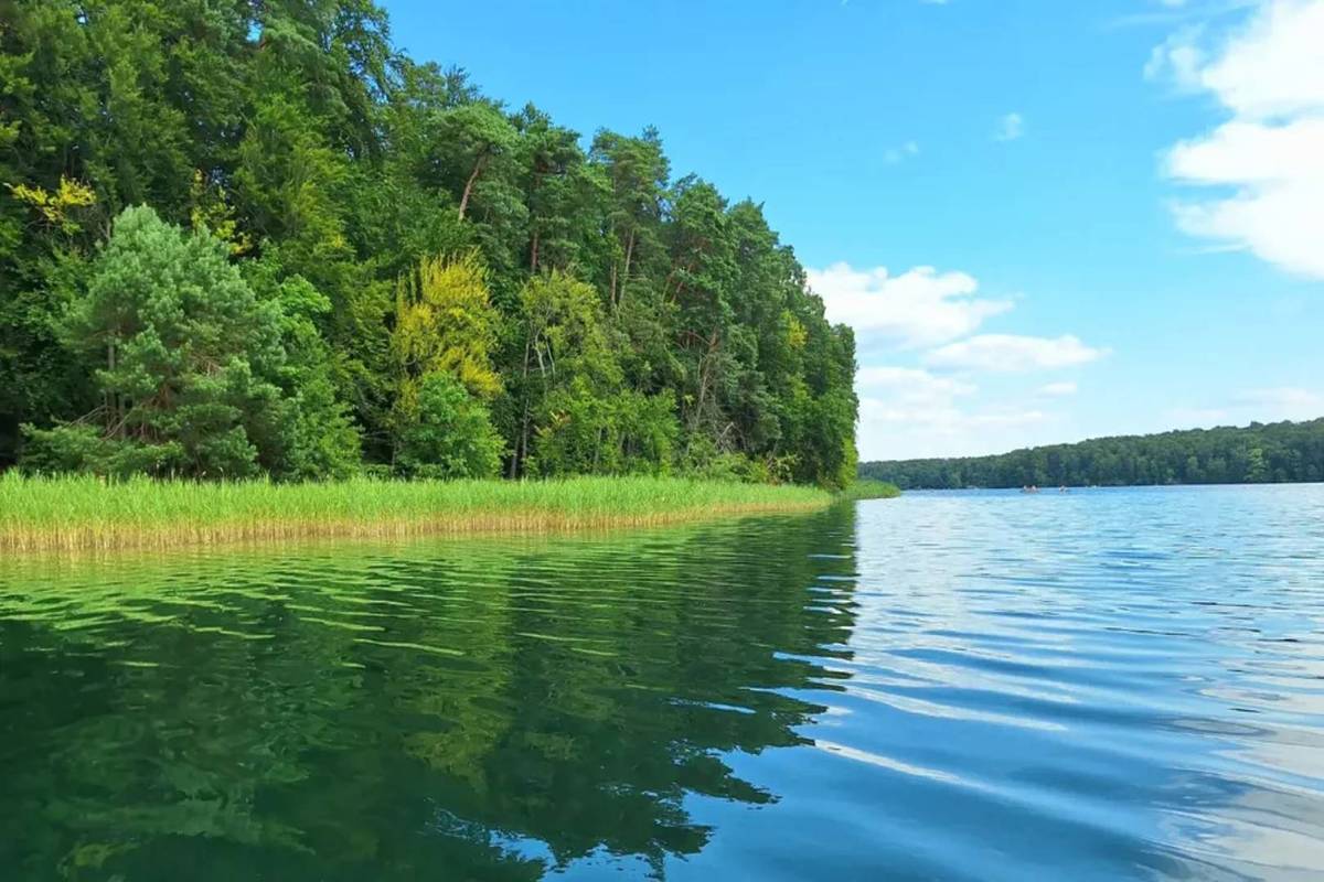 Stechlinsee