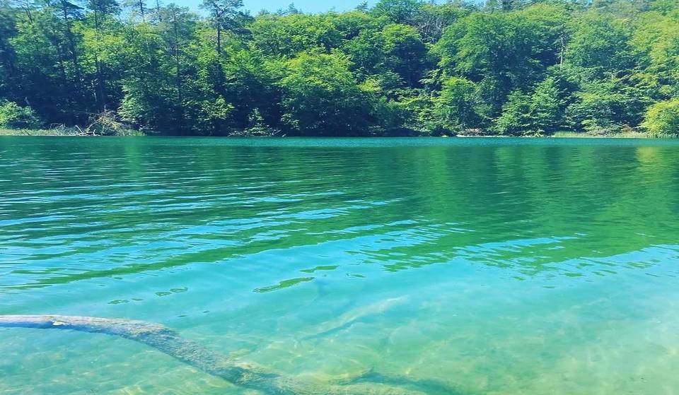 « Si profond et si pur qu&rsquo;on peut voir jusqu&rsquo;au fond » : à 1h30 de Berlin, le lac le plus clair du Brandebourg, avec une profondeur de 70 m et une visibilité de plus de 10 m, qui a déjà inspiré Theodor Fontane.