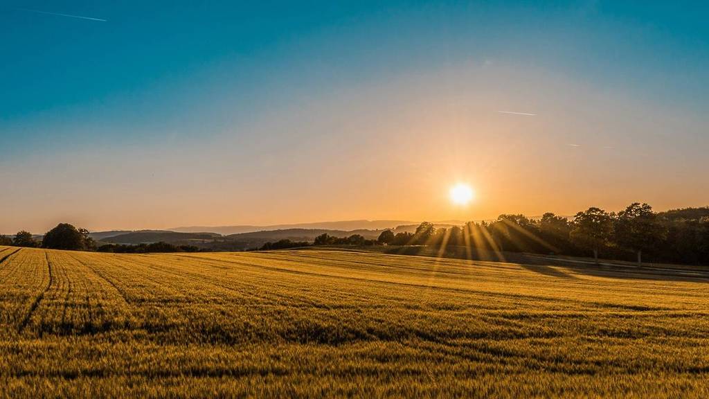 Tramonto su un campo presso la tenuta Ogrosen