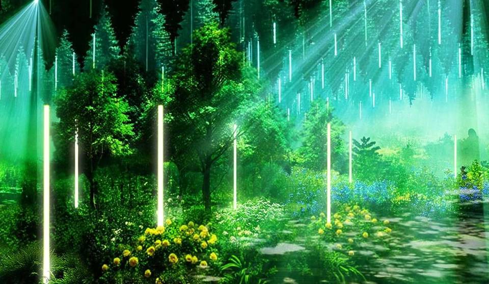 L’esperienza rave più nuova e straordinaria a Berlino per soli 16 €: una foresta al coperto fatta di installazioni artistiche 3D e suoni elettronici