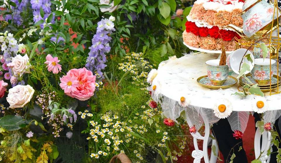 A soli 45 minuti da Berlino, tra poche settimane si terrà la più grande fiera del giardinaggio del Brandeburgo: oltre 100 espositori presenteranno piante rare, design per giardini, stand gastronomici e molto altro, con un biglietto d’ingresso di soli 9 €!