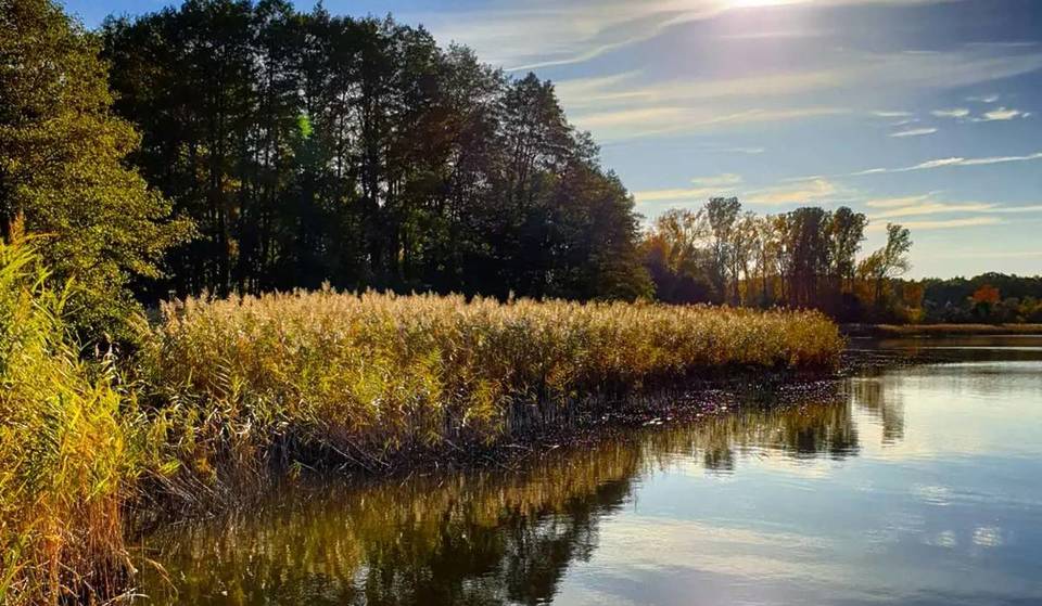 A un’ora e mezza da Berlino si nasconde un minuscolo villaggio nel Brandeburgo con querce secolari, un castello tardo-classicista e un idilliaco paesaggio collinare