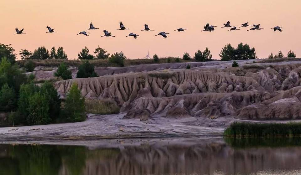 «Nel cuore del Brandeburgo, ma sembra un luogo ultraterreno»: a un’ora e mezza da Berlino si trova un lago con strati di terra colorati, forme insolite e oltre 1.500 specie animali e vegetali