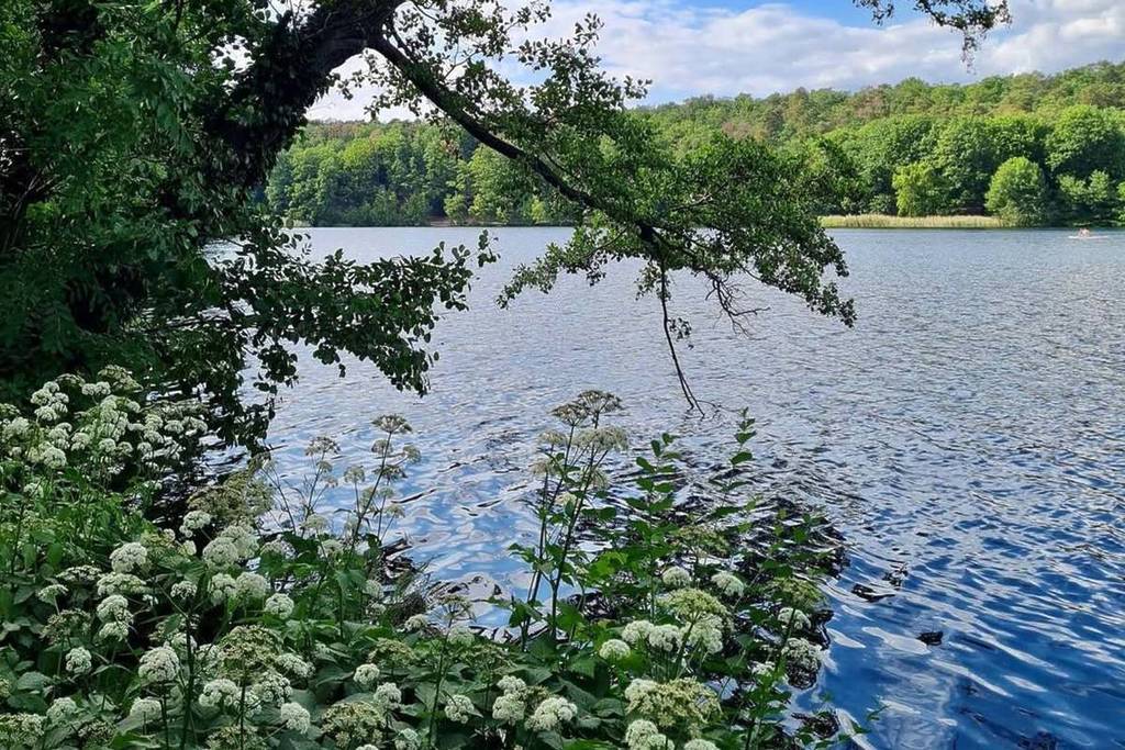 Schlachtensee