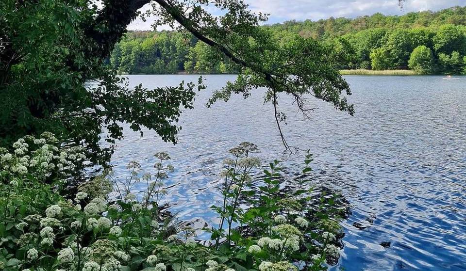 Nicht in Brandenburg, sondern 25 Minuten vom Berliner Zentrum liegt der klarste See: Von Wald umgeben mit 5,5-km-Rundweg, weißen Teppichen aus Buschwindröschen &amp; barocker Villenarchitektur