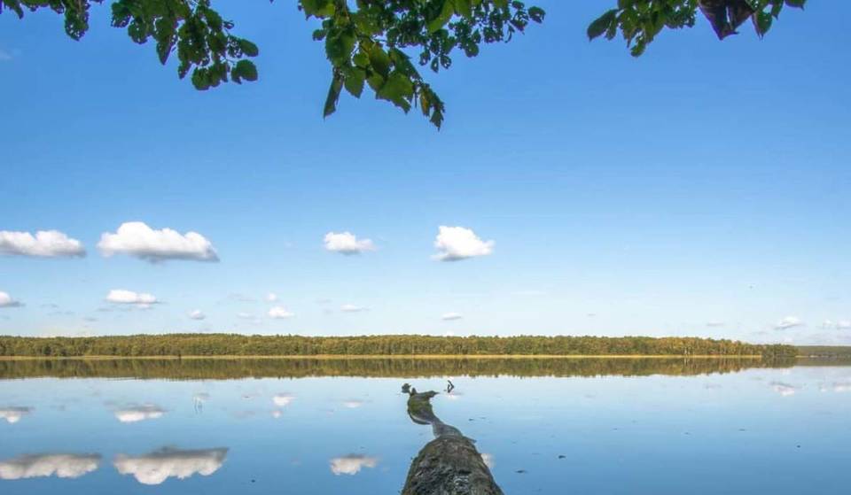 A soli 45 minuti da Berlino si trova il lago più profondo del Brandeburgo: con i suoi 55 metri di profondità, si trova sotto il livello del mare ed è situato in uno dei più grandi paesaggi naturali della Germania
