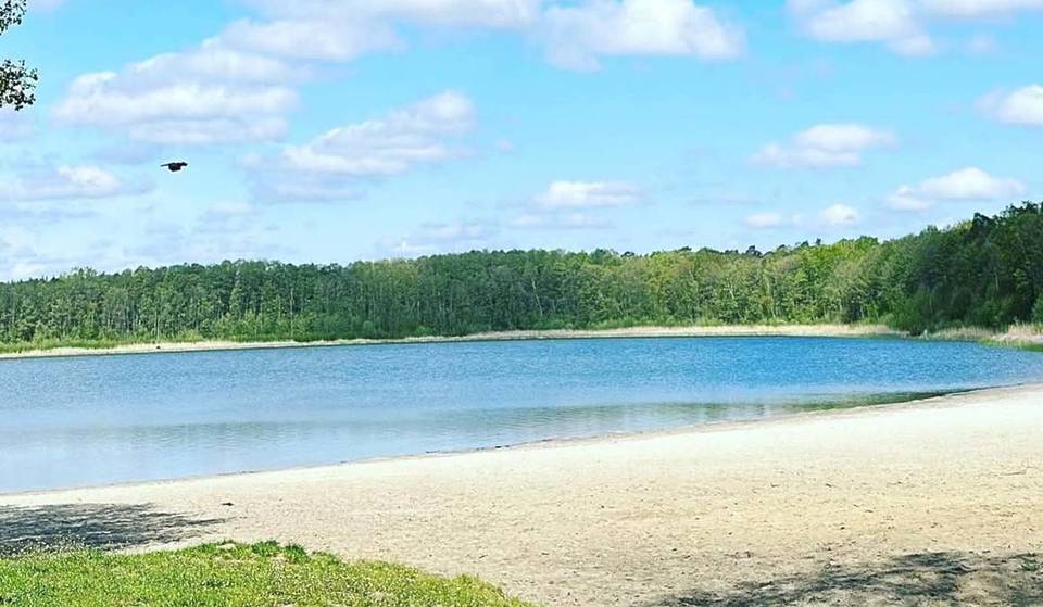 „Ein nahezu perfekter Kreis – als wäre er mit dem Zirkel gezeichnet worden“: Nur 35 Minuten von Berlin liegt Brandenburgs ungewöhnlich runder See mit FKK-Bereich
