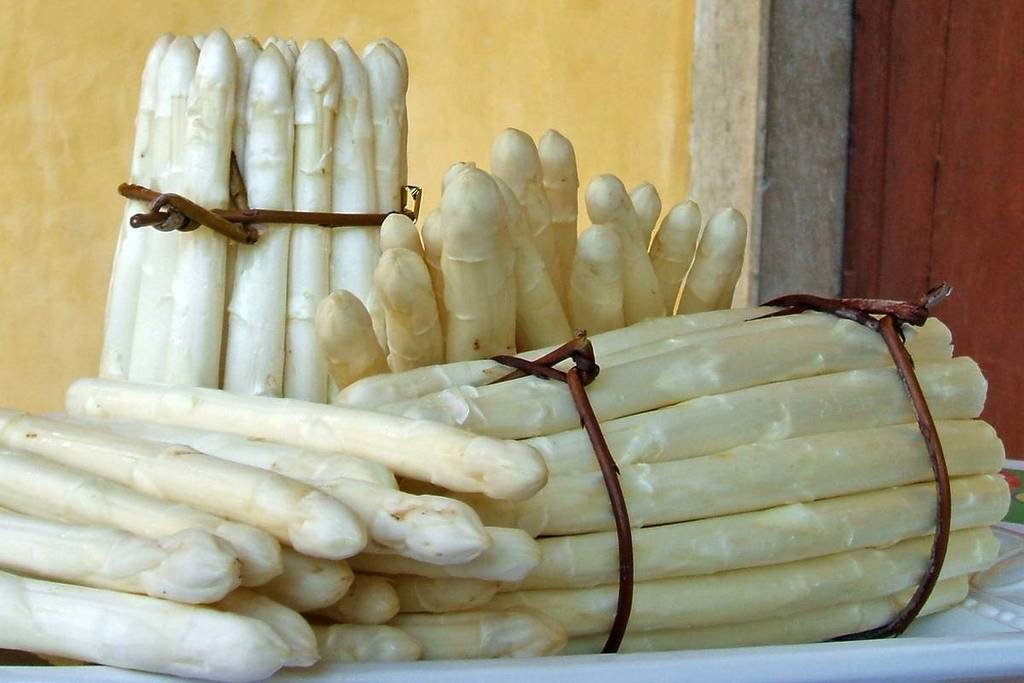 Cosecha de espárragos en Diedersdorf