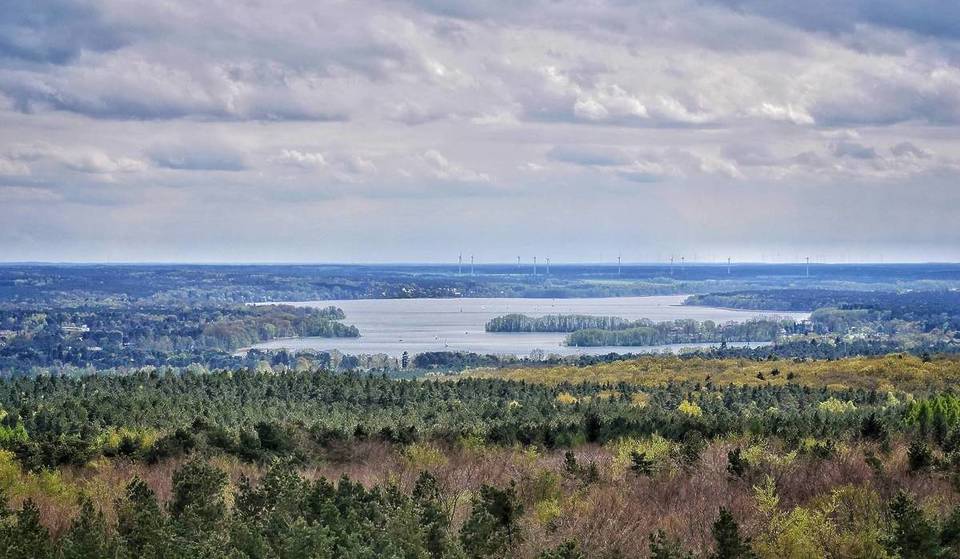 Nur 1 Stunde von Berlin entfernt kannst du für nur einen Euro von einem 40 Meter hohen Aussichtsturm aus die Natur Brandenburgs genießen
