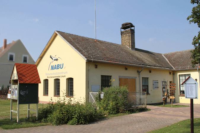 Nabu in Linum