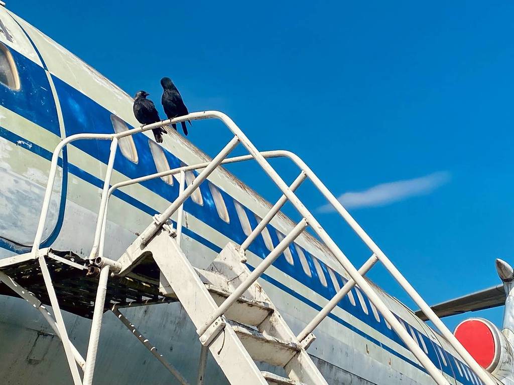 Flugzeug im Luftfahrtmuseum Finowfurt