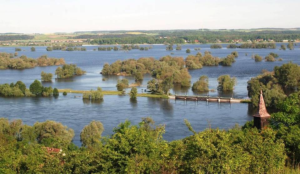 Nur 90 Minuten von Berlin entfernt findest du auf über 100 km² Wildnis pur in Brandenburgs einzigem Nationalpark