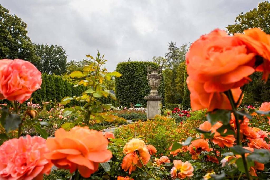 Rosengartenfesttage Forst
