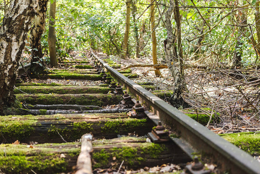 Vías en el Natur-Park Südgelände