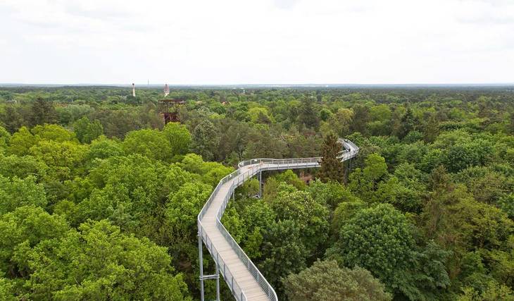 Nur 45 Minuten von Berlin gelangt ihr zum ersten Baumkronenpfad Brandenburgs mit 700 Metern Länge und einem 40,5 Meter hohen Aussichtsturm