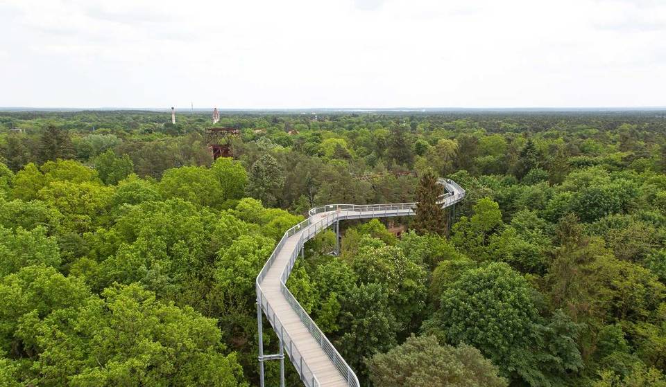 Just 45 minutes from Berlin, you’ll reach Brandenburg’s first treetop walk, which is 700 meters long and features a 40.5-meter-high observation tower