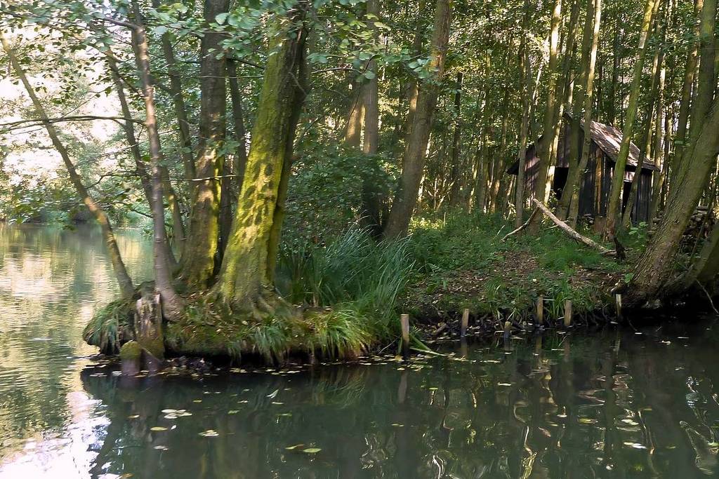 The Vetschauer Mühlenfließ in the Spreewald