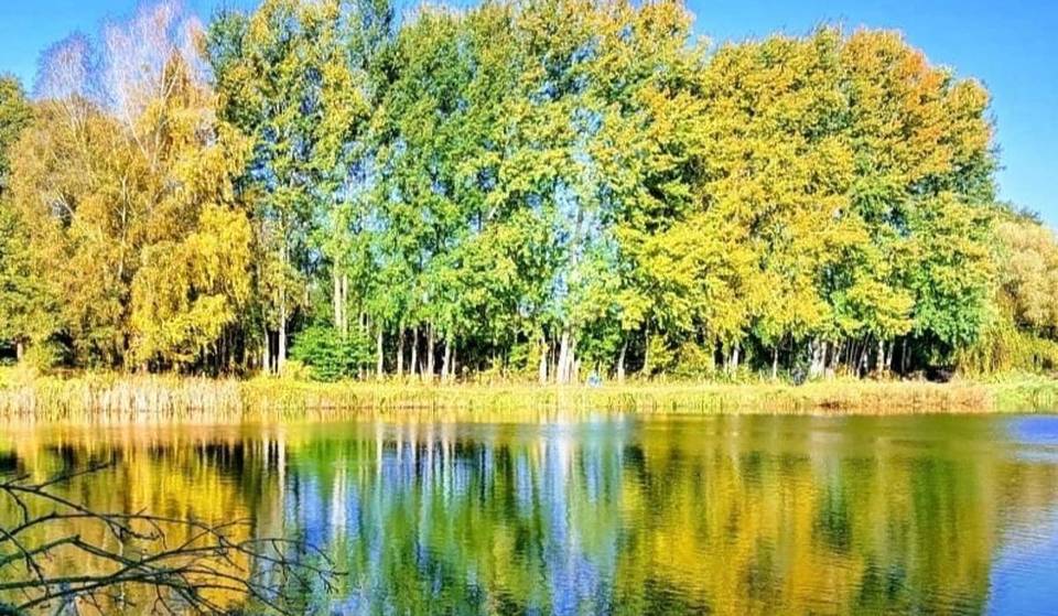 About an hour from Berlin lies a unique nature experience center in a UNESCO reserve with an adjacent conservation area featuring 20 fish ponds