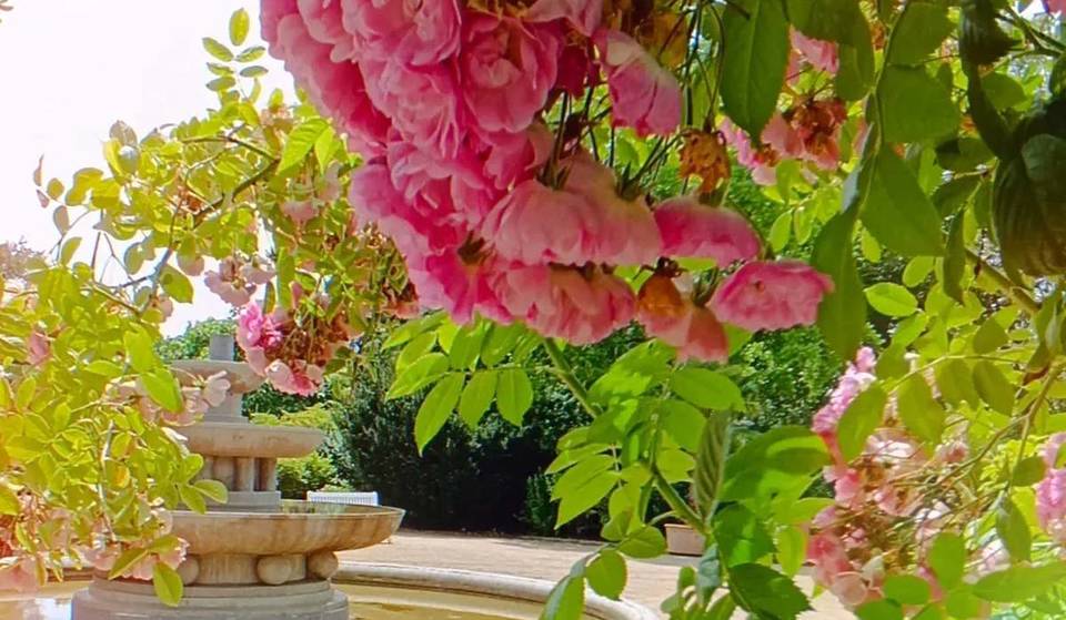 Just 1.5 hours from Berlin lies one of Germany’s most significant rose gardens, featuring 40,000 roses and more than 1,000 varieties