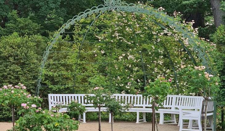 Nur 35 Minuten von Berlin entfernt liegt der älteste Rosengarten der Region – mit mehr als 1.000 blühenden Rosenstöcken &amp; bis zu 100 frei laufenden Pfauen