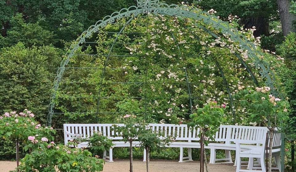 Nur 35 Minuten von Berlin entfernt liegt der älteste Rosengarten der Region – mit mehr als 1.000 blühenden Rosenstöcken &amp; bis zu 100 frei laufenden Pfauen