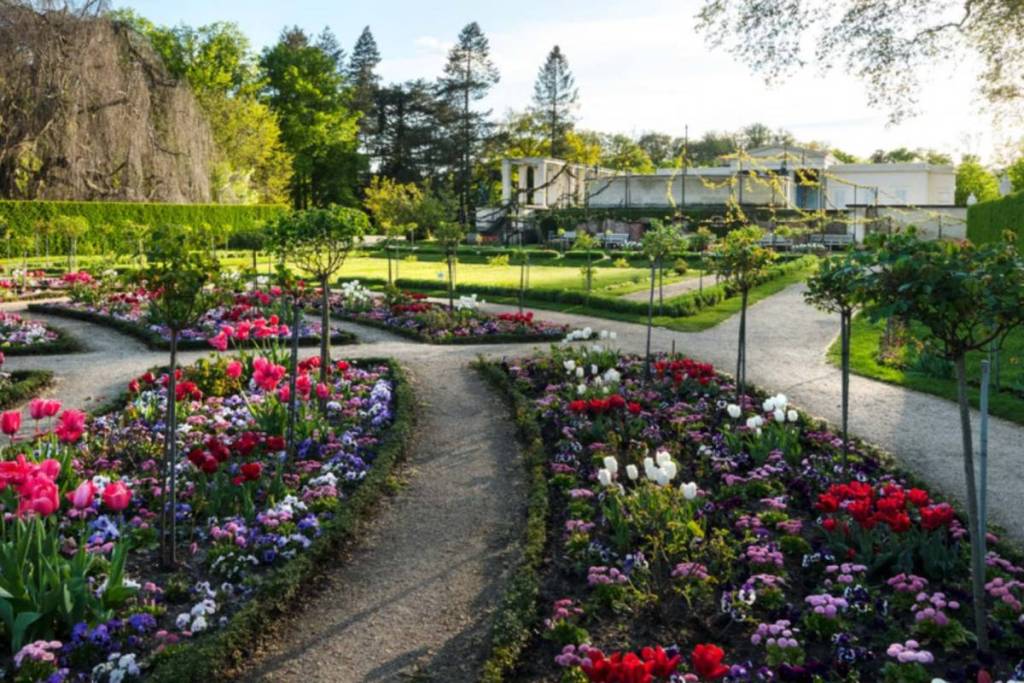 Giardino delle rose del Castello di Sanssouci