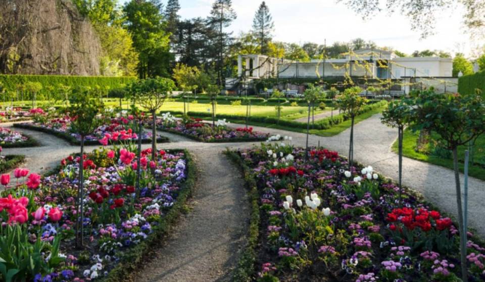 Op slechts 45 minuten van Berlijn kun je in het beroemdste kasteelpark van de regio een meer dan 200 jaar oude rozentuin ontdekken met 404 rozenstruiken van 174 historische soorten