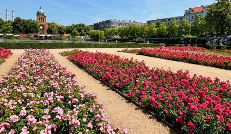Op slechts 15 minuten van het Kottbusser Tor kom je bij een verborgen groene oase met 10.000 m² wateroppervlak midden in de stad, duizenden bloeiende rozen en idyllische wandelpaden
