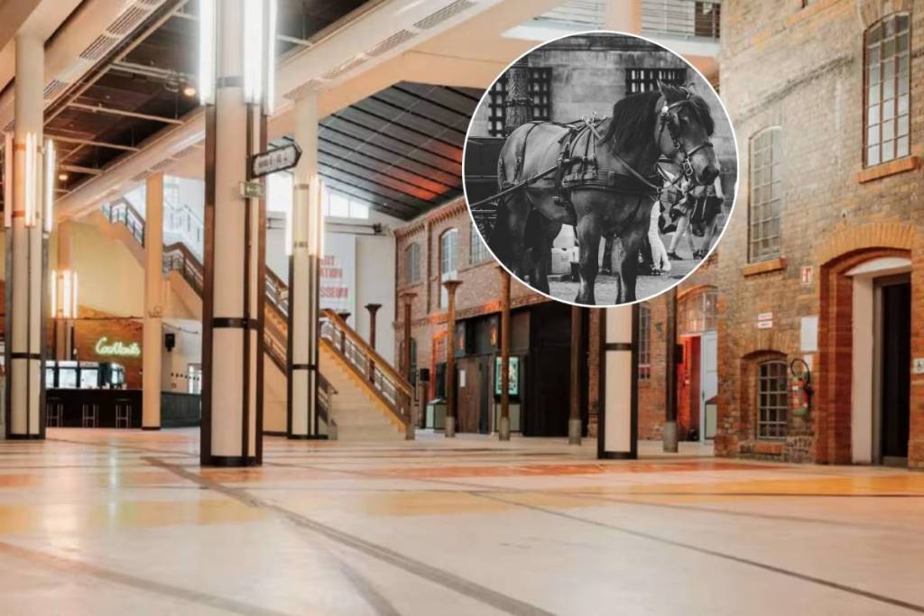 Interno del Colosseum di Berlino | Cavallo legato a una carrozza