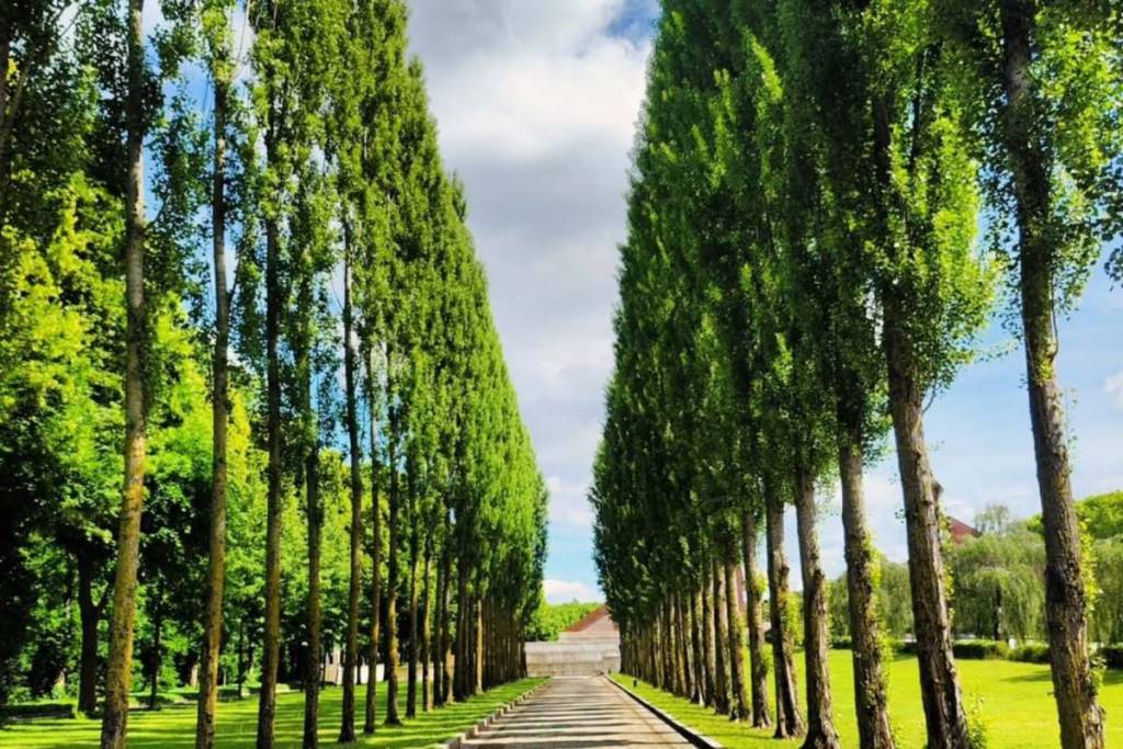 Treptower Park
