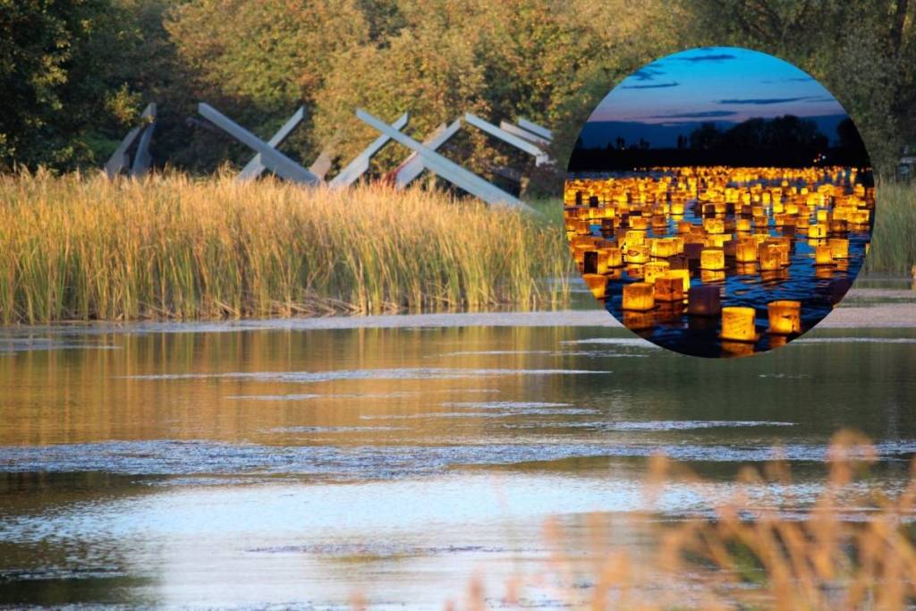 ¡El precioso Britzer Garten se transforma por la noche en un espectáculo de farolillos flotantes!
