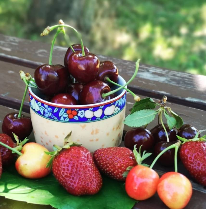 Raccogli tu stesso ciliegie e fragole alla fattoria Lindicke