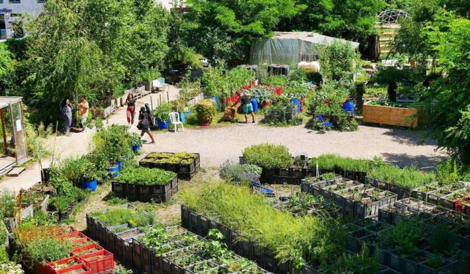 About 20 minutes from Alexanderplatz lies an international model for urban gardening with over 60 raised beds, fruit trees, flowering meadows, and a cozy garden café