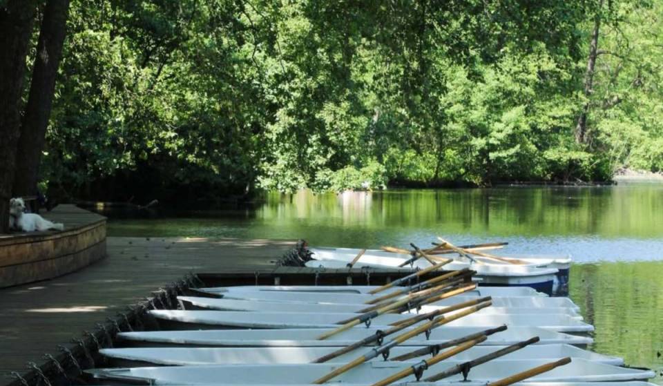 Just 20 minutes from Alexanderplatz, right on the lake in the 210-hectare Tiergarten, there’s a café shaded by chestnut trees with boat rentals and a beer garden