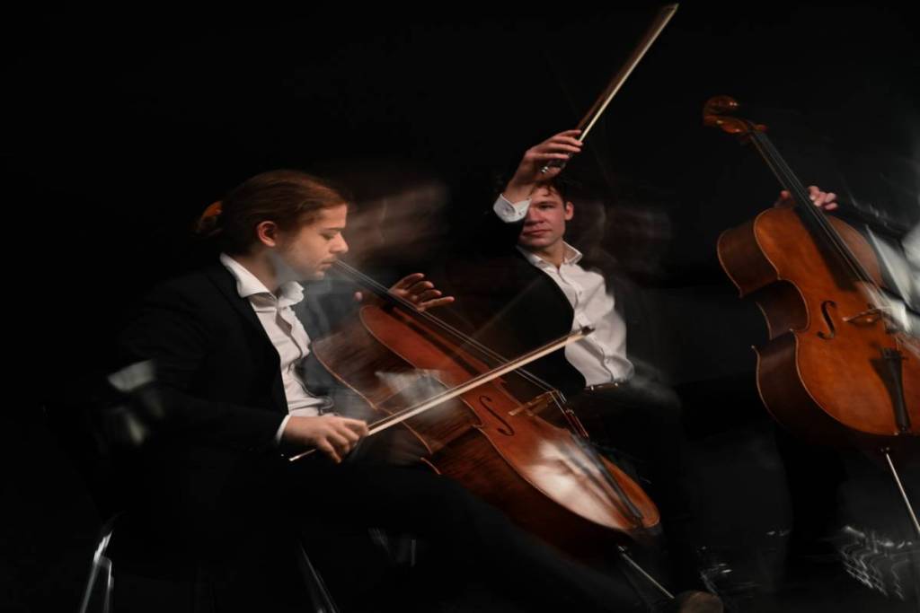 Concerto dal vivo del CelloDuo